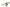 Banner de promoción