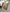 Jabonera de Bambú
