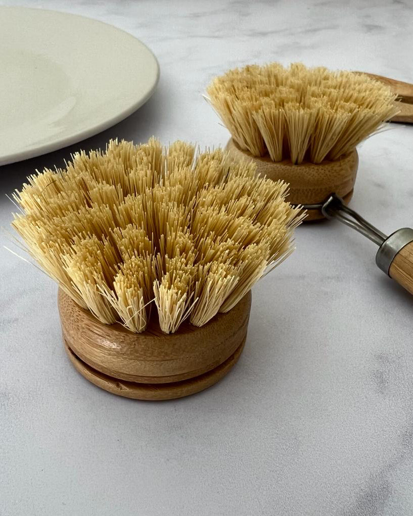 Cepillo Lavaplatos